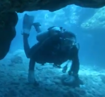 Fin Diving